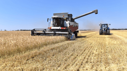 Ціни на пшеницю падають вниз — скільки коштує і що сталося - 290x160