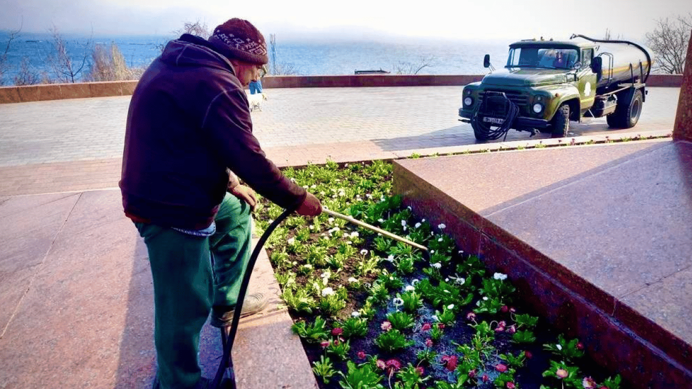 Цветет и пахнет: в Одессе посадили 50 тысяч маргариток и виол