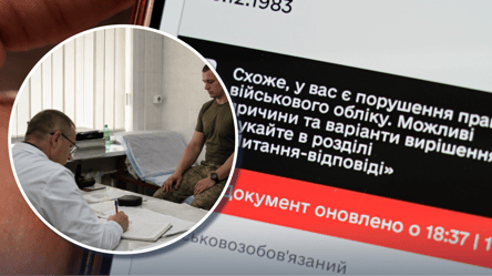 Отсрочка не спасет: юрист предупредил о штрафах за неявку на ВЛК - 290x160