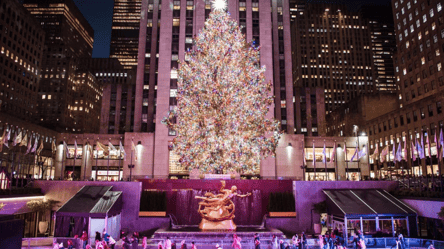 Атмосфера дива — найгарніші ялинки світу - 285x160