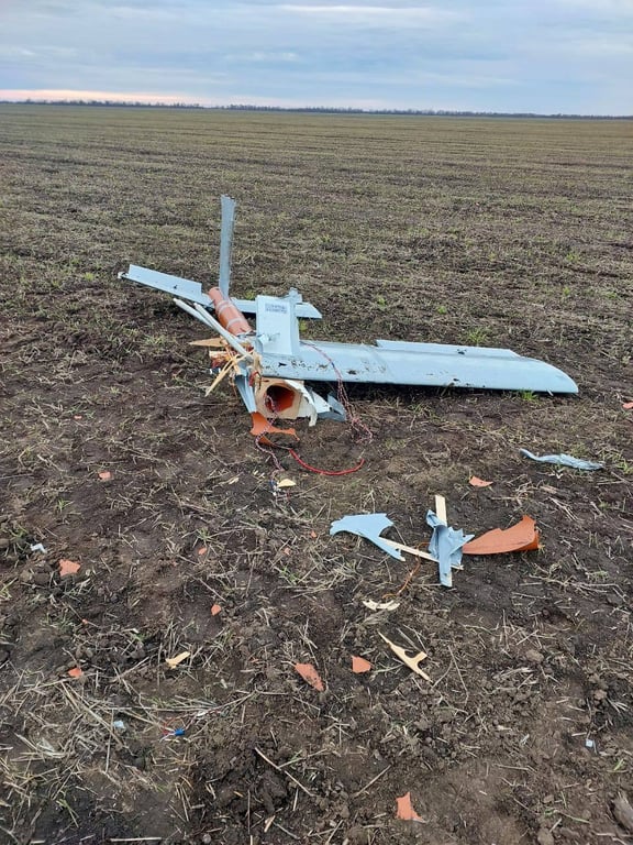 збиття незвичного дрона на Миколаївщині