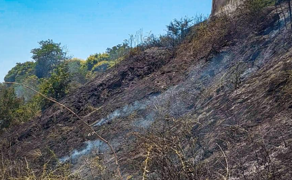 В Одесі горіла трава біля Траси здоров'я сьогодні