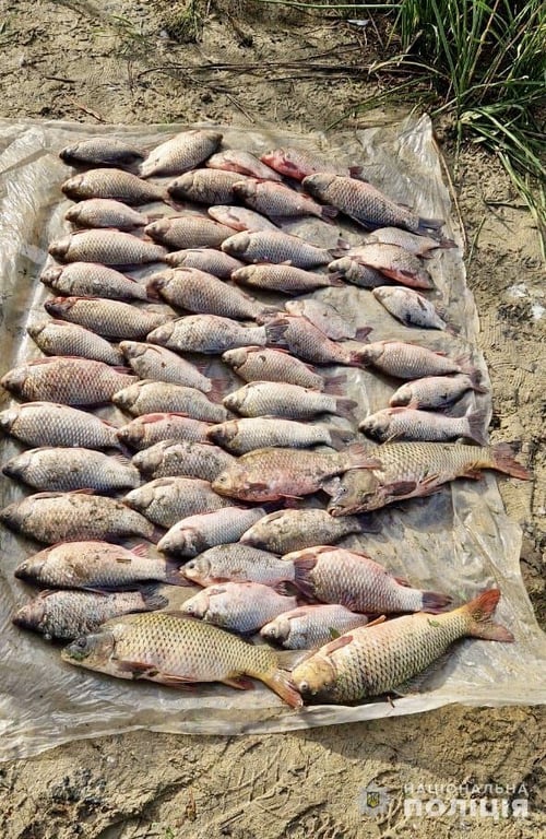 За незаконный отлов рыбы в Одесской области мужчине грозит тюремный срок — фото - фото 2