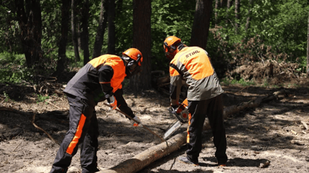На Харківщині у два рази зріс попит на дрова: вартість сьогодні - 290x166