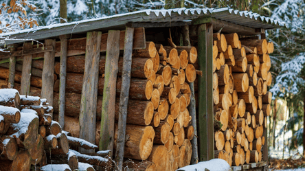 Старі дрова — скільки років можна зберігати паливо для опалення - 285x160