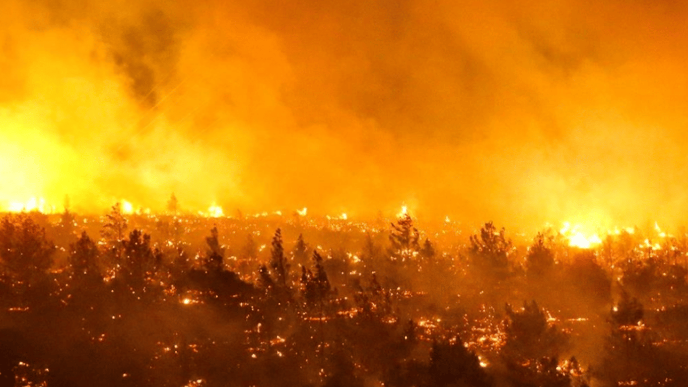 Лесные пожары в Чили - погибло 23 человека