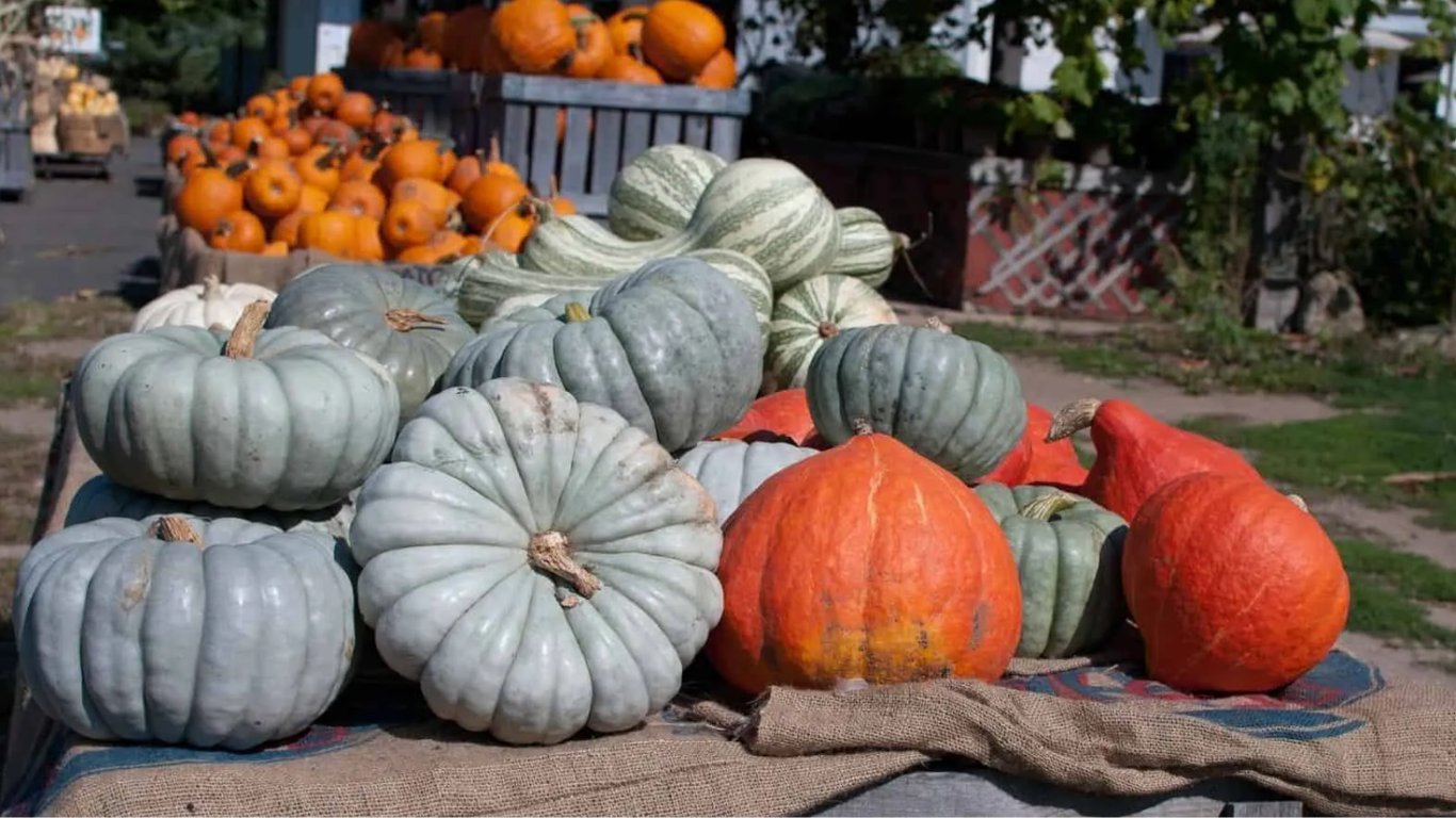 Для яких регіонів України підходить "Тріамбл"
