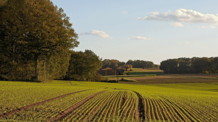 У Києві судитимуть шахраїв за махінації із землею на 6,2 млн грн - 285x160