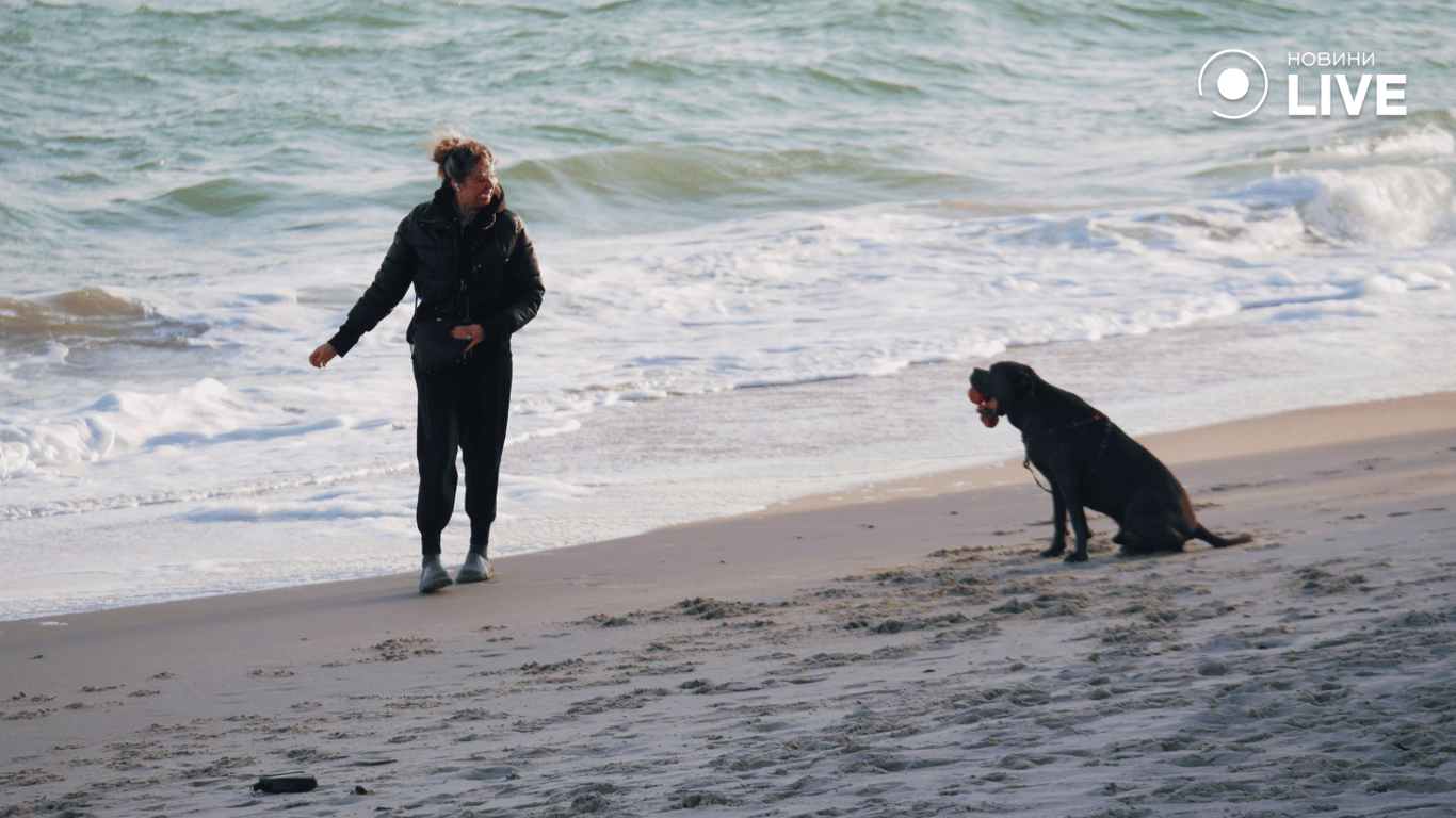 Жінка з собакою на пляжі 