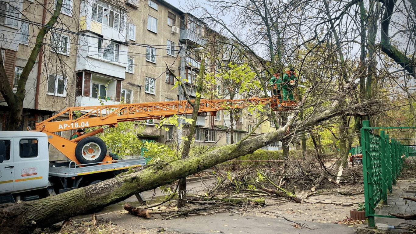 В Одессе непогода свалила более сотни деревьев — подробности