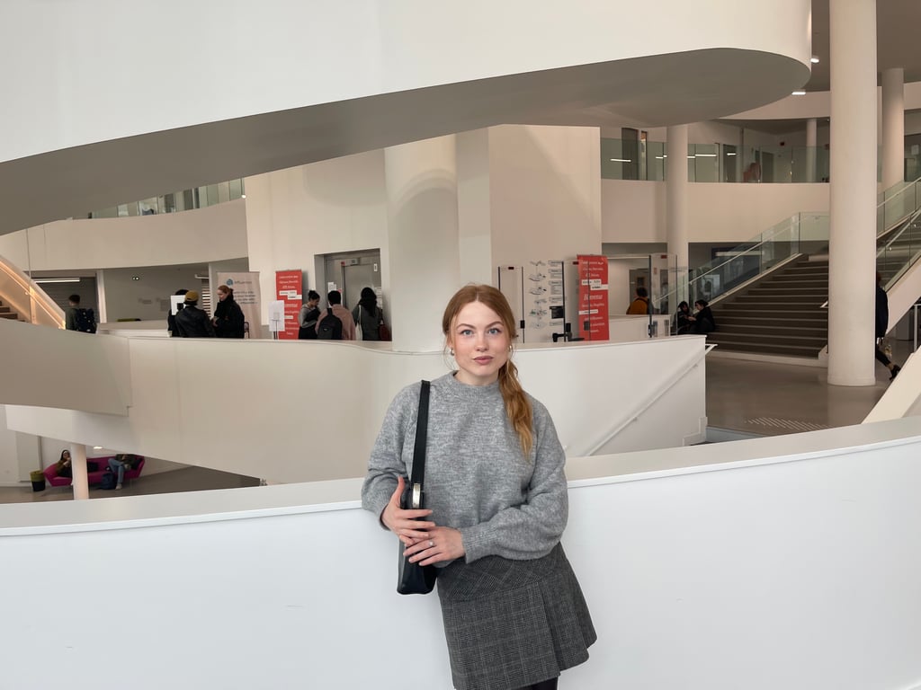 Образование во Франции — специфика системы и возможности для украинцев - фото 3