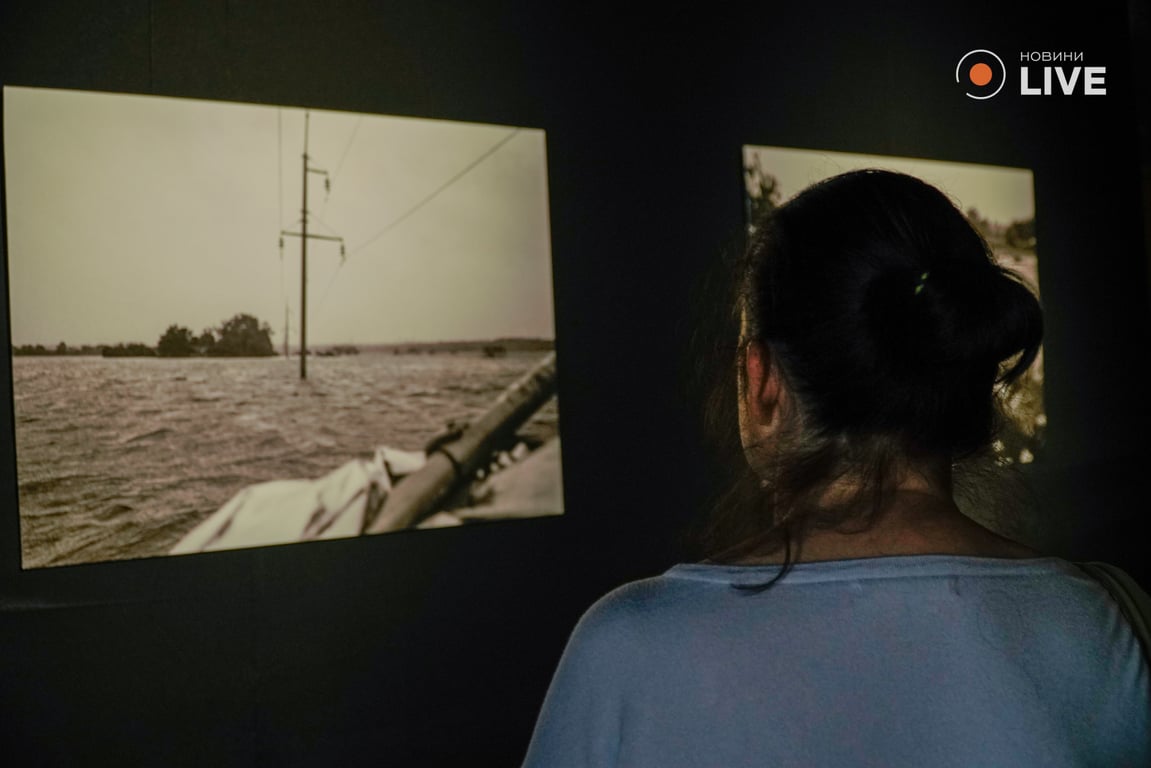 Выставка Виктории Ивлевой в Киеве