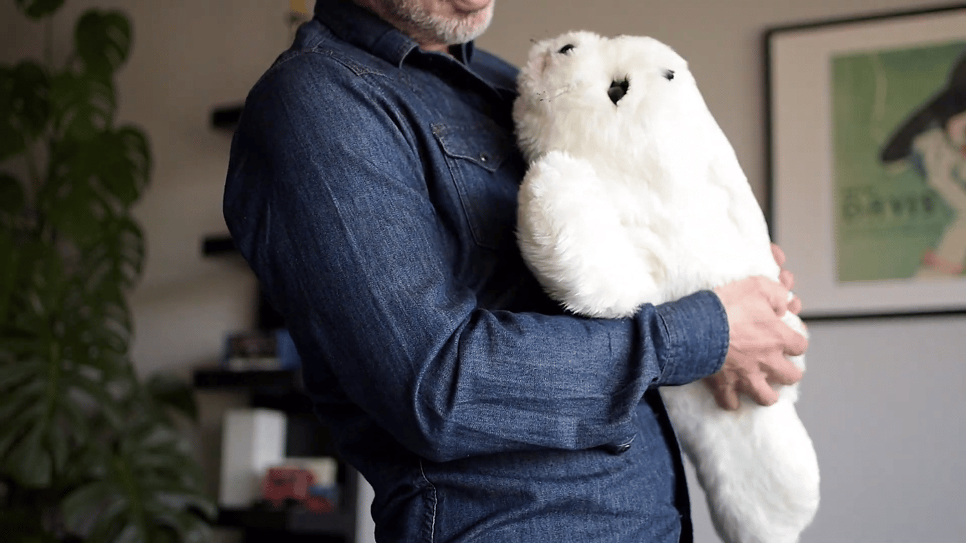 Робот-тюлень Paro