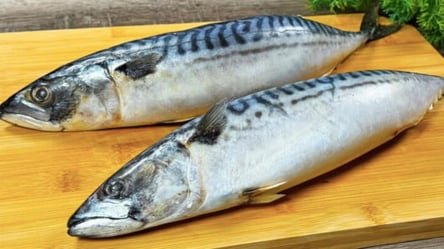 Мало хто знає цю техніку — рецепт риби, як у дорогому ресторані - 285x160