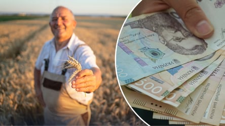 Кабмин планирует предоставлять кредиты аграриям под залог урожая: кто сможет получить льготы - 285x160