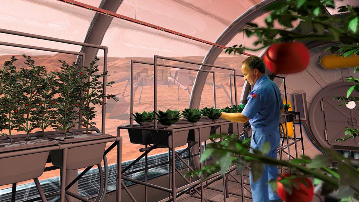 Колонизация Марса — ученые открыли растение, способное существовать на Красной планете