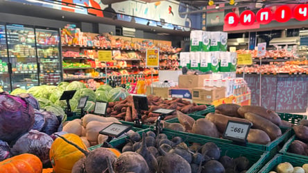 Продукти в Україні будуть дорожчати: економіст пояснив, до чого готуватися - 290x160