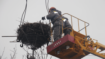 Где завтра не будет света — графики от Укрэнерго - 304x171