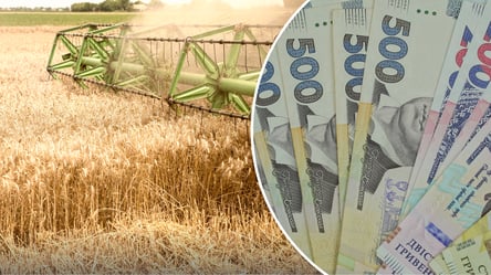 Цены на пшеницу могут вырасти: фермеры отказываются продавать зерно за бесценок - 290x166