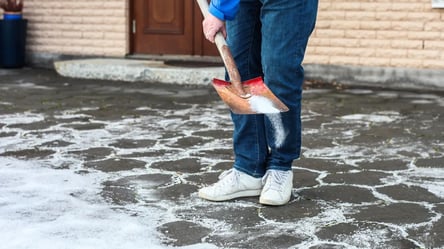 Зимняя соль уничтожает ваш сад — как это предотвратить - 285x160