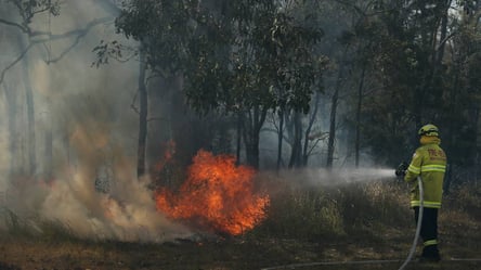 Синоптики предупредили о пожарной опасности в Украине: каким областям грозит - 285x160