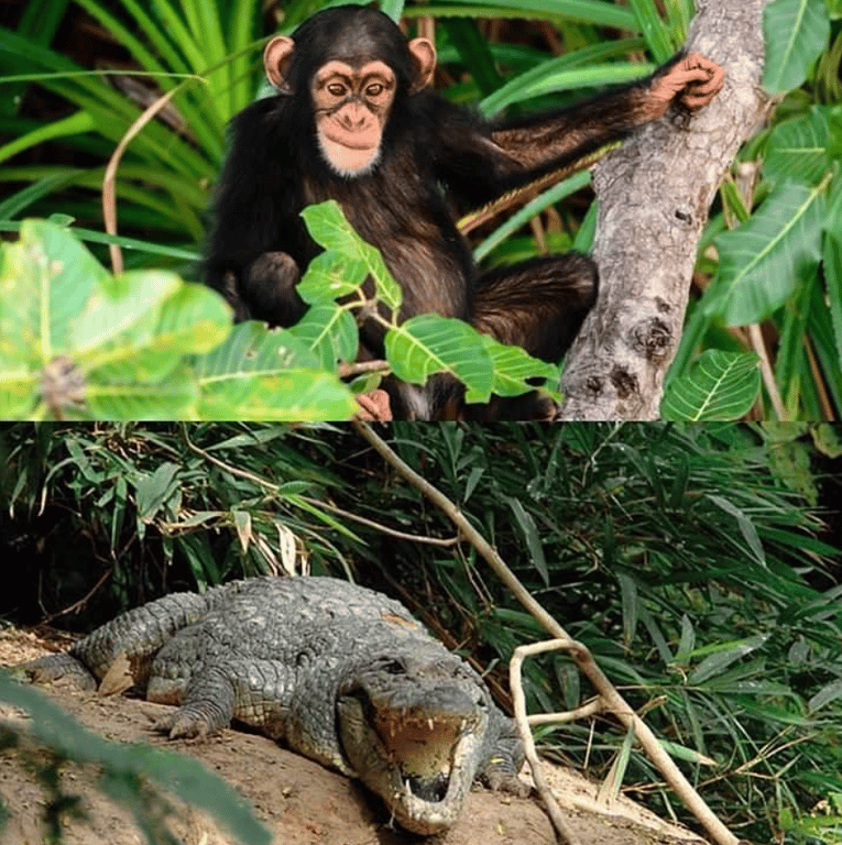 Неймовірна материкова країна в Африці, яку ігнорують туристи - фото 1