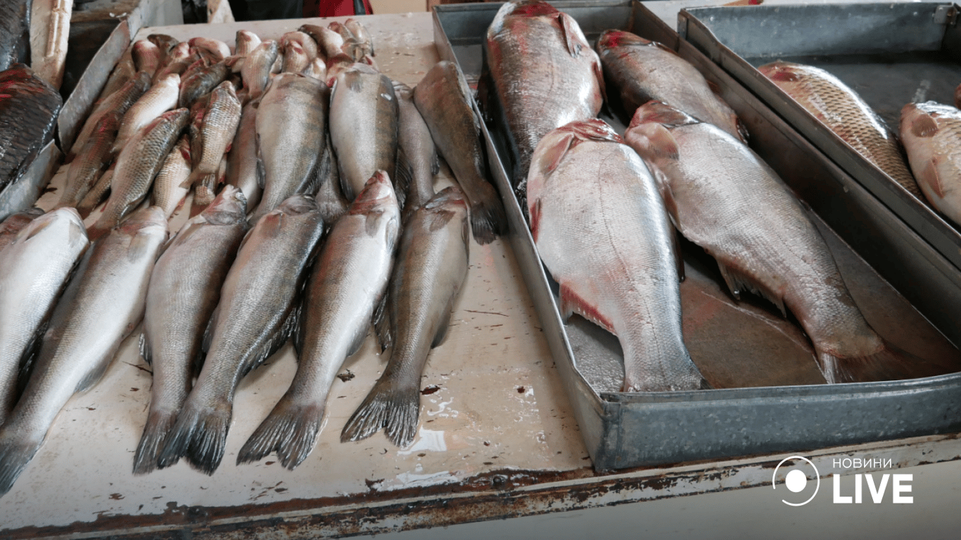 На Одещині зафіксовані випадки отруєння рибою