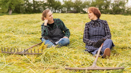 Аренда земли — как проверить нанимателя перед заключением сделки - 285x160