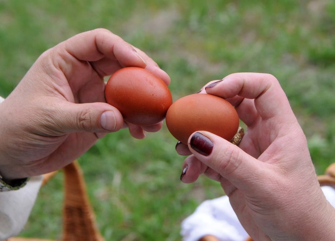 Почему нельзя выбрасывать скорлупу от пасхальных яиц