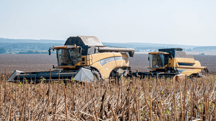 Ціни на соняшник в Україні підскочили на майже 800 грн — скільки коштує зерно у травні - 290x166