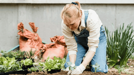 Чи можна садити город у Поминальні дні 2026: народні прикмети - 285x160