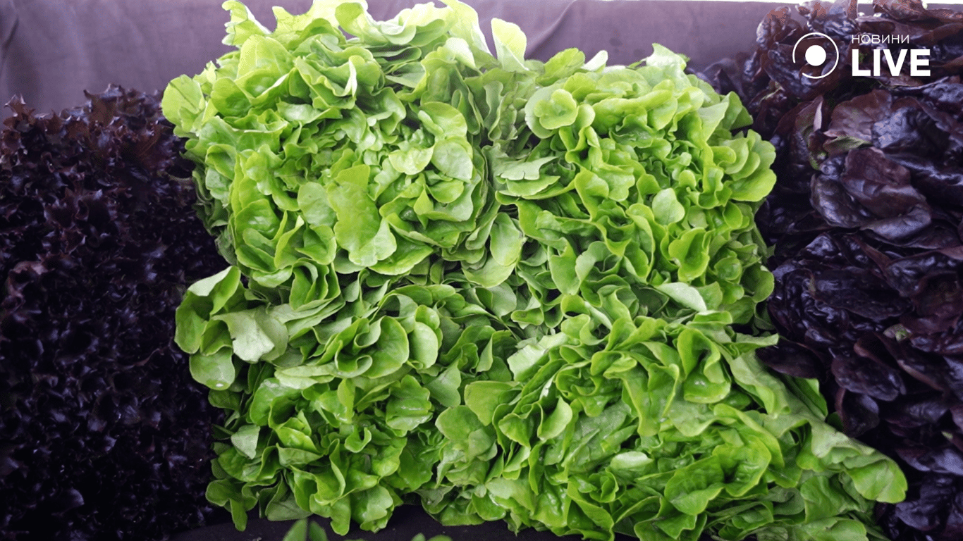 Одеська зелень дорожча за імпорт — чому люди все одно купують - фото 1