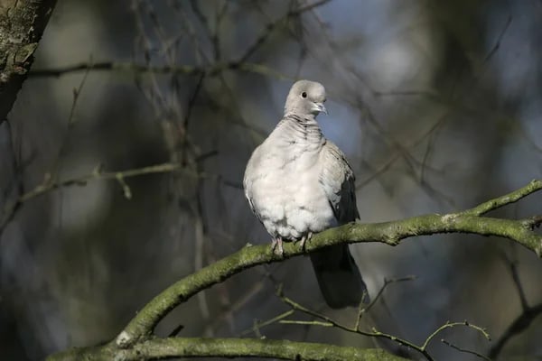 Народные приметы и традиции на 6 ноября