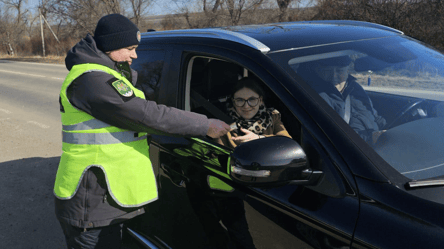 Молдова не пускає на кордоні через цей папірець — що вимагають - 290x166