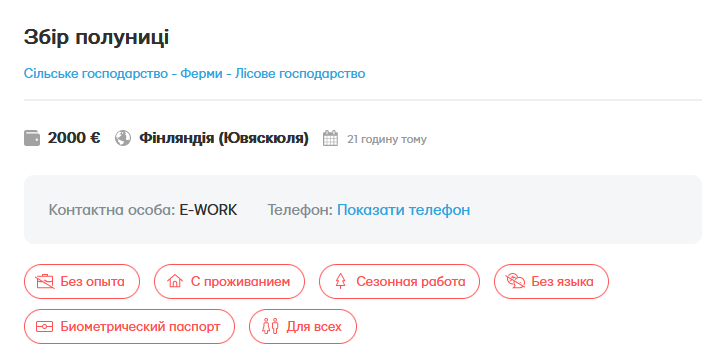 Зарплата 2 000 євро — українок запрошують на сезонний збір полуниці у Фінляндії - фото 1