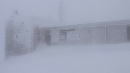 В Карпатах намело почти метр снега — фото октябрьской метели - 285x160