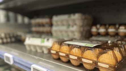 Білі чи коричневі яйця: у чому різниця та які краще купувати - 285x160