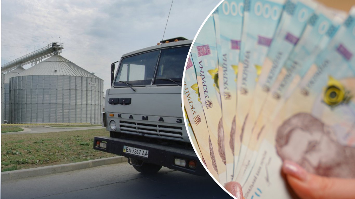 Цены на зерно: почему фуражная пшеница подешевела до 10 000 грн за тонну