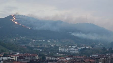В Испании "огненные террористы" за день спровоцировали 90 лесных пожаров: детали - 285x160