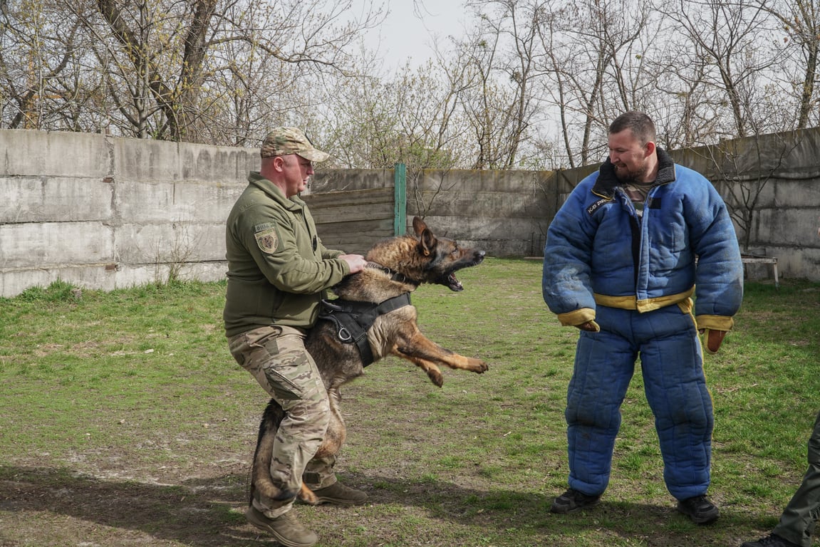 Тренировка служебной собаки. Фото: "ТиКиев"/Игорь Кузнецов