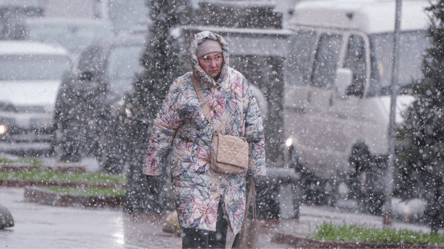 Україну завтра накриє сніг — в яких областях будуть сильні опади - 285x160