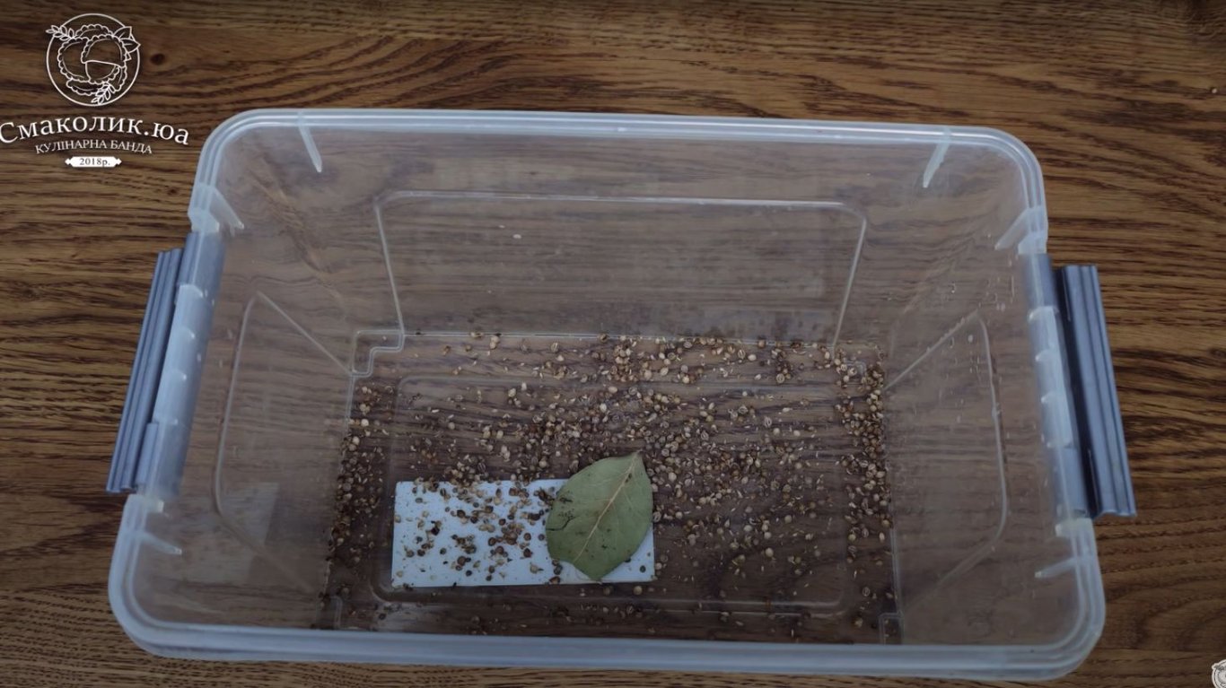 рецепт оселедеця пряного посолу вдома 