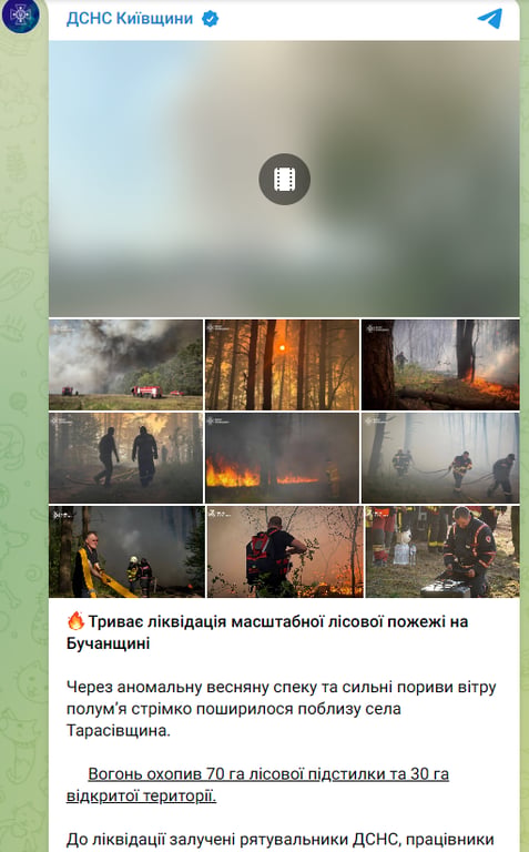 Пожежа у Київській області 7 травня