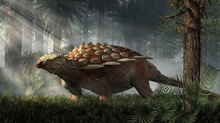 Не походил на других: археологи обнаружили окаменелости нового вида динозавров. Фото - 285x160