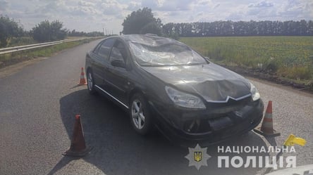 "Летів" і не помітив: у Харкові водій жорстко зніс велосипедиста. Подробиці і фото - 285x160