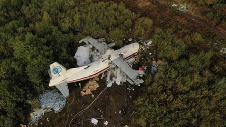 Авиакатастрофа самолета АН-12 возле Львова: названы причины трагедии - 285x160