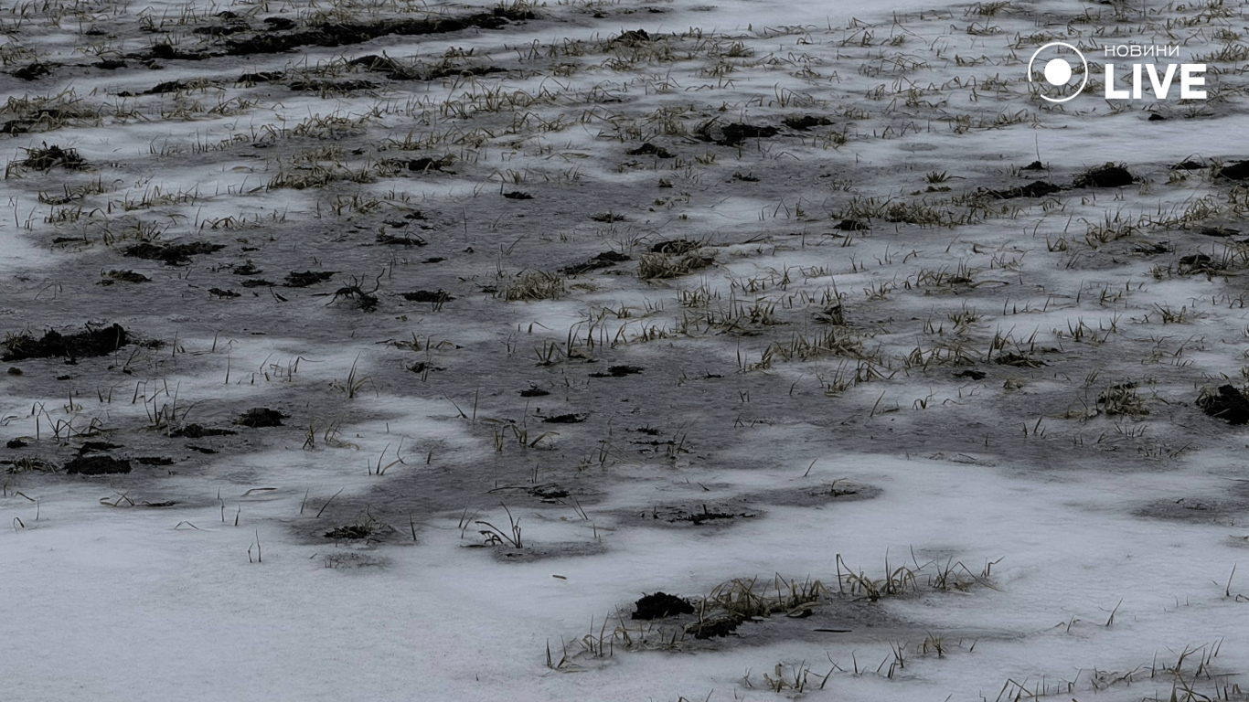 Виснажений ґрунт та зледеніння – чи буде врожай на Одещині у 2026 - фото 3