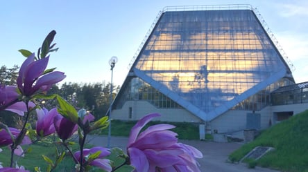 Трагедия в ботсаду Гришко — оккупанты РФ уничтожают все живое - 285x160