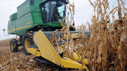 Кукурудза стрімко дорожчає у лютому — у чому причина - 285x160