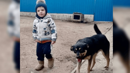 Пішов з дому ще увечері — на Одещині шукають трирічного хлопчика - 290x166